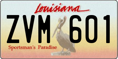 LA license plate ZVM601