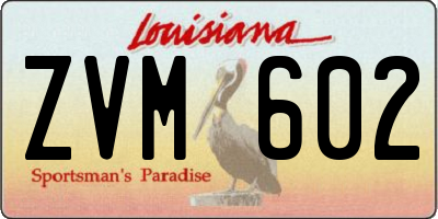 LA license plate ZVM602