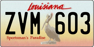 LA license plate ZVM603