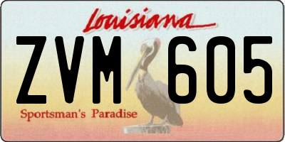 LA license plate ZVM605