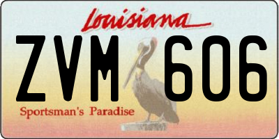 LA license plate ZVM606