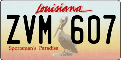 LA license plate ZVM607