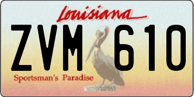 LA license plate ZVM610