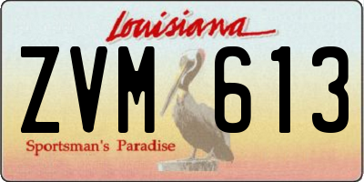 LA license plate ZVM613