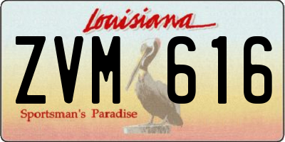 LA license plate ZVM616