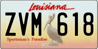 LA license plate ZVM618