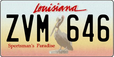 LA license plate ZVM646