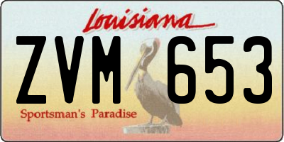 LA license plate ZVM653