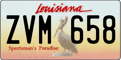 LA license plate ZVM658