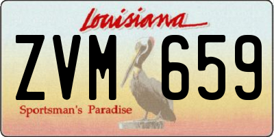 LA license plate ZVM659