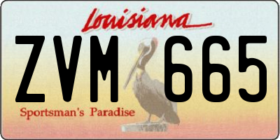 LA license plate ZVM665
