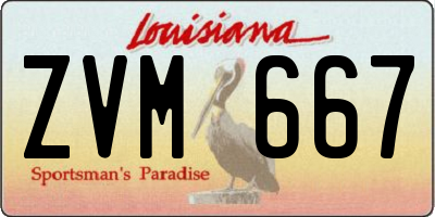 LA license plate ZVM667