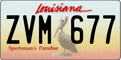 LA license plate ZVM677