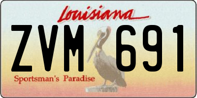 LA license plate ZVM691