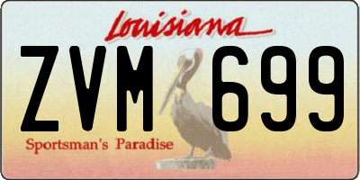 LA license plate ZVM699