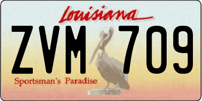 LA license plate ZVM709