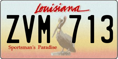 LA license plate ZVM713