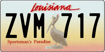 LA license plate ZVM717