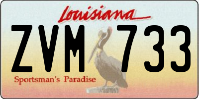 LA license plate ZVM733