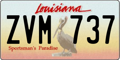 LA license plate ZVM737