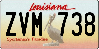 LA license plate ZVM738