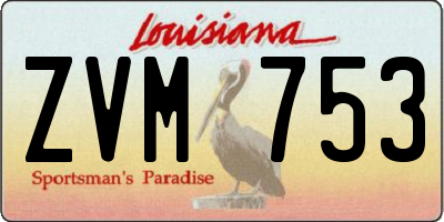 LA license plate ZVM753