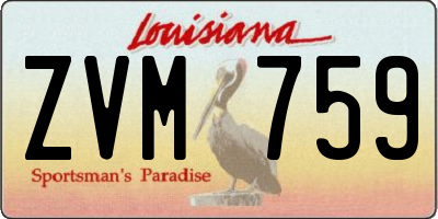 LA license plate ZVM759