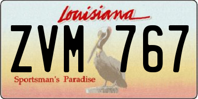 LA license plate ZVM767