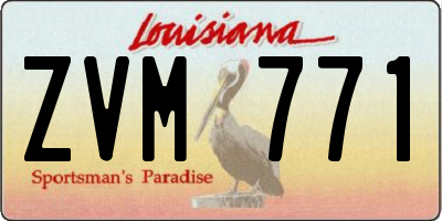 LA license plate ZVM771