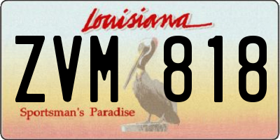 LA license plate ZVM818