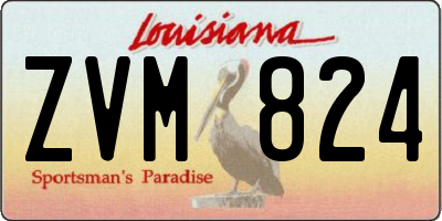 LA license plate ZVM824