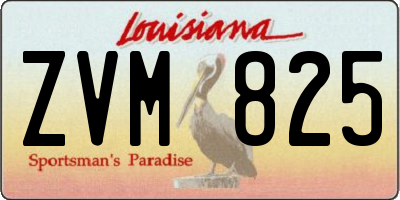 LA license plate ZVM825