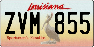 LA license plate ZVM855