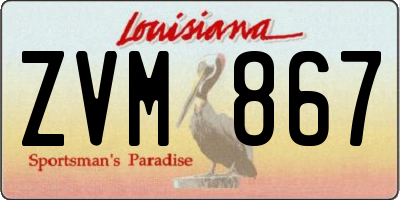 LA license plate ZVM867