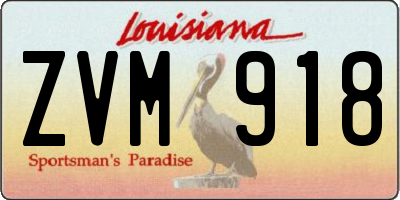 LA license plate ZVM918