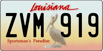 LA license plate ZVM919