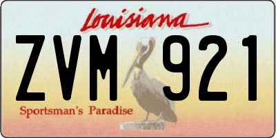 LA license plate ZVM921