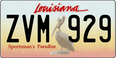 LA license plate ZVM929