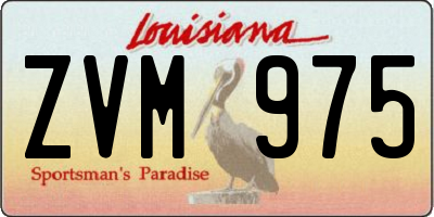 LA license plate ZVM975