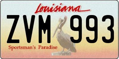 LA license plate ZVM993