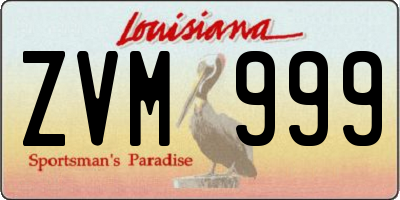 LA license plate ZVM999