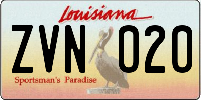 LA license plate ZVN020