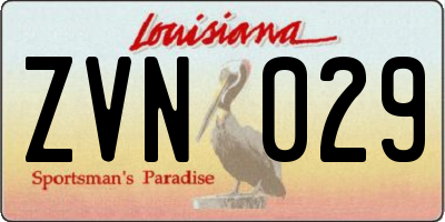 LA license plate ZVN029