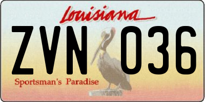 LA license plate ZVN036