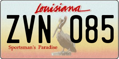 LA license plate ZVN085