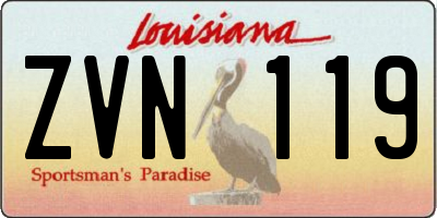 LA license plate ZVN119