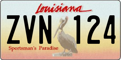 LA license plate ZVN124