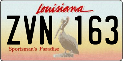 LA license plate ZVN163