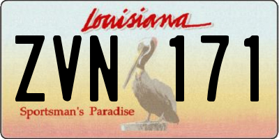 LA license plate ZVN171