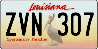 LA license plate ZVN307